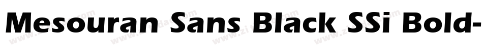 Mesouran Sans Black SSi Bold字体转换